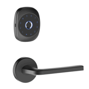 Bluetooth Fingerprint Security Door Lock Separated ,5-in-1 Keyless Entry,