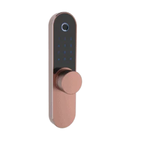 Fingerprint Bluetooth Lock, Card + PIN + Mechanical Key + iOS & Android