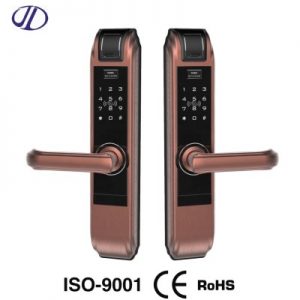 Smart App Home Door