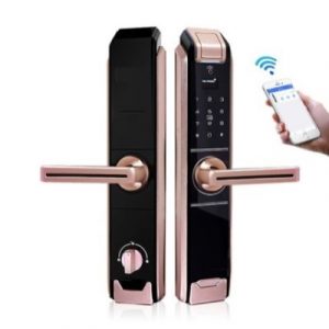 Wi-Fi Smart Lock