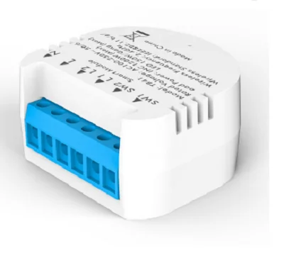 Home 2 Gang 1/2 Way Wifi Switch Module