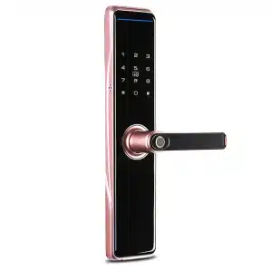 Unlock Your Door with Just a Touch of Your Finger: Introducing the Smart Electronic Fingerprint Door Lock