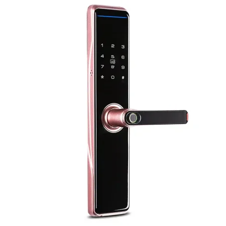 Unlock Your Door with Just a Touch of Your Finger: Introducing the Smart Electronic Fingerprint Door Lock