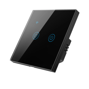 Zigbee 2 Gang Smart Switch