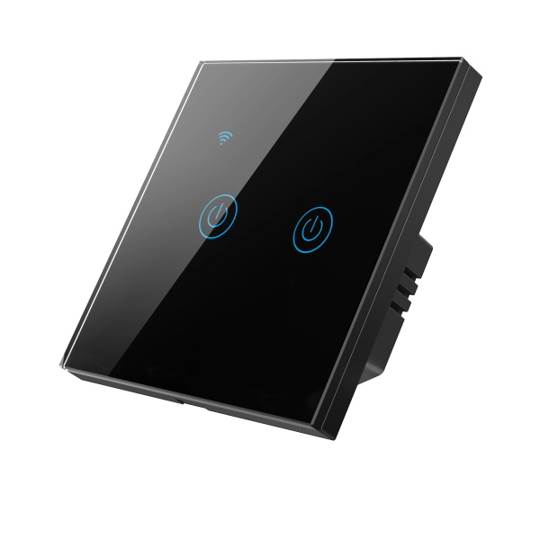 Zigbee 2 Gang Smart Switch